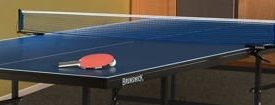 Brunswick XC3 Table Tennis Table review