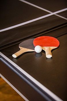 Triumph Pool Table And Ping Pong Top review